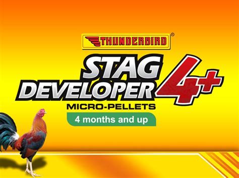Thunderbird VN .